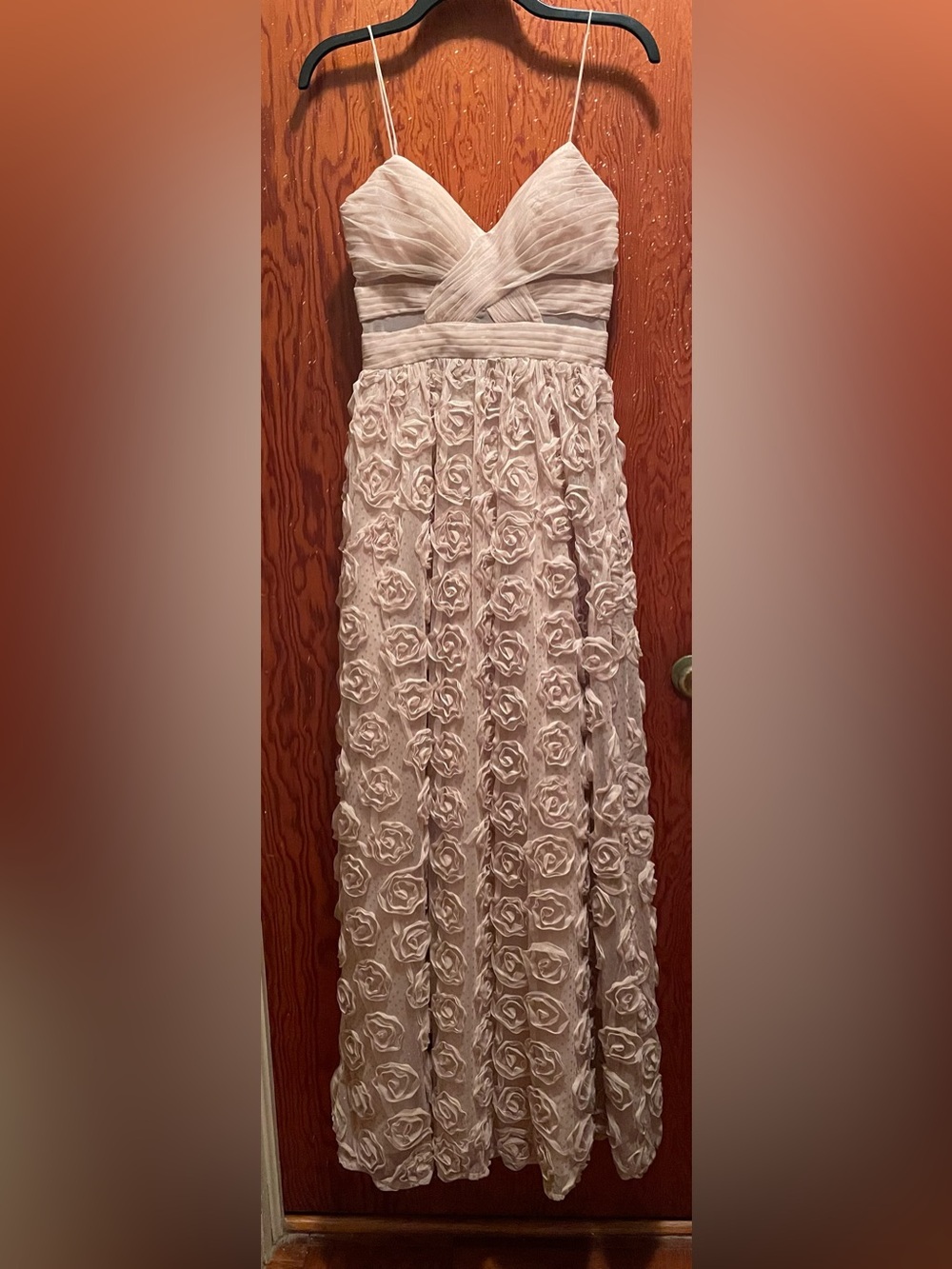 Adrianna Papell Tan Floral Appliqué Maxi Gown